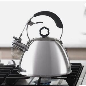 Stainless Steel Whistling Kettle with lid PRINCESS HOUSE NEW! Teapot